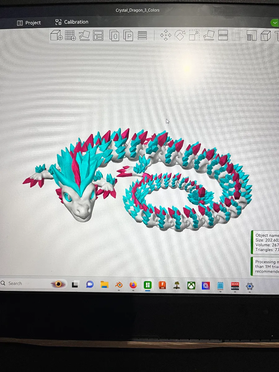 דרקון גביש מפרקי — תמונה 4