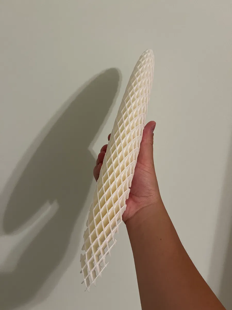 כדור שנפתח לכוכב — תמונה 3