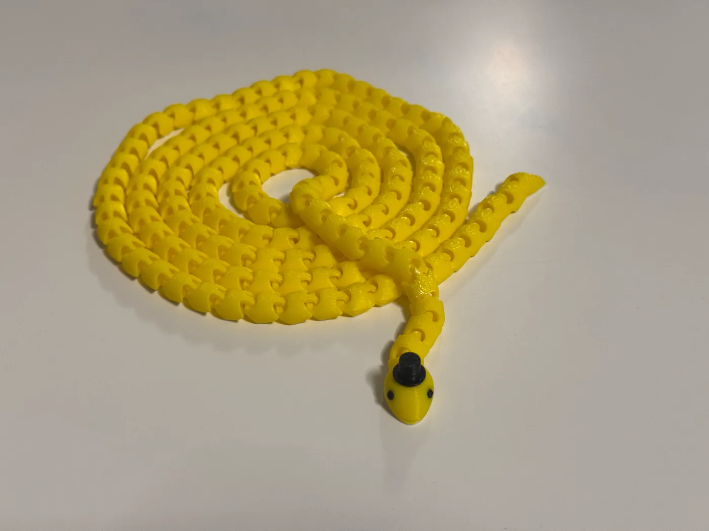 נחשון זעיר — תמונה 14