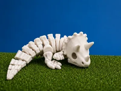 Flexi Articulated Triceratops Skeleton