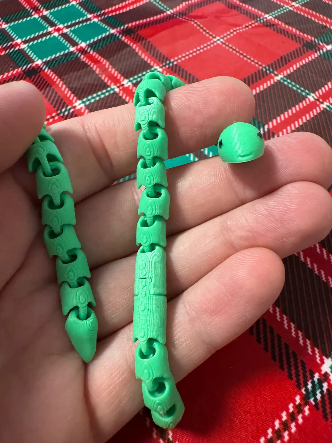 נחשון זעיר — תמונה 12