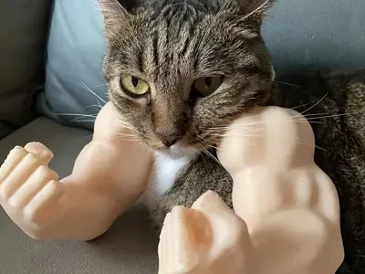 Cat Biceps 3D